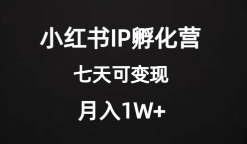 价值2000+的小红书IP孵化营项目，超级大蓝海，七天即可开始变现，稳定月入1W+-大齐资源站