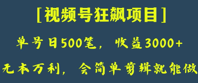 日收款500笔，纯利润3000+，视频号狂飙项目，会简单剪辑就能做【揭秘】-大齐资源站