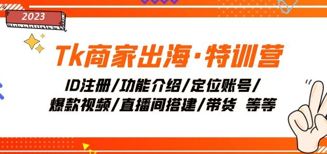 Tk商家出海·特训营：ID注册/功能介绍/定位账号/爆款视频/直播间搭建/带货-大齐资源站