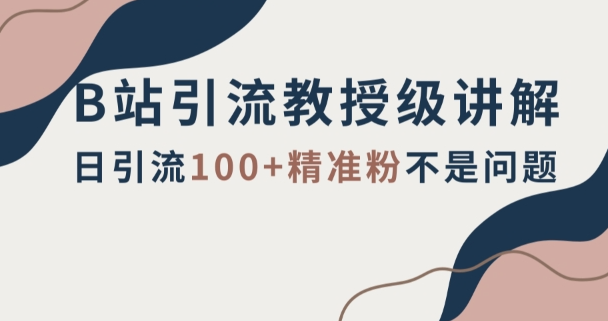 B站引流教授级讲解，细节满满，日引流100+精准粉不是问题【揭秘】-大齐资源站