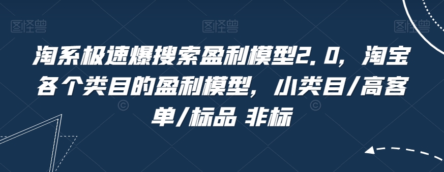 淘系极速爆搜索盈利模型2.0，淘宝各个类目的盈利模型，小类目/高客单/标品 非标-大齐资源站