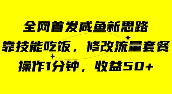 咸鱼冷门新玩法，靠“技能吃饭”，修改流量套餐，操作1分钟，收益50【揭秘】-大齐资源站