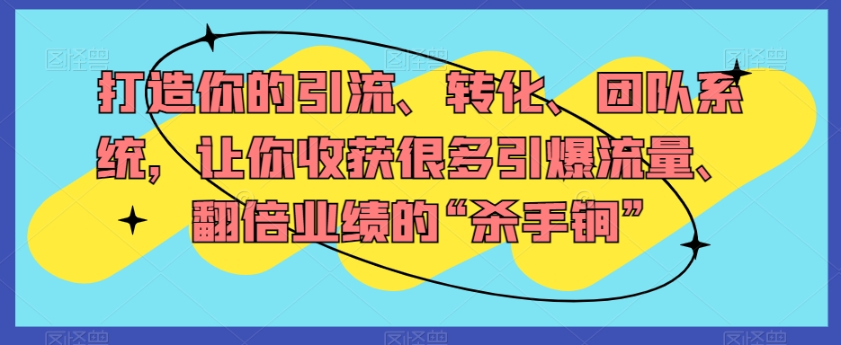 打造你的引流、转化、团队系统，让你收获很多引爆流量、翻倍业绩的“杀手锏”-大齐资源站