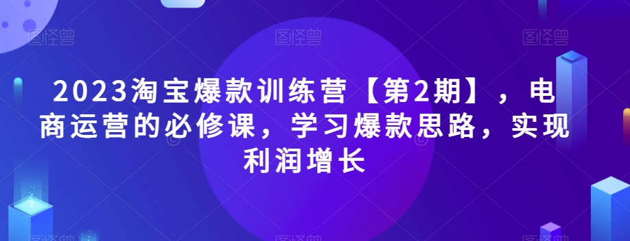 2023淘宝爆款训练营【第2期】，电商运营的必修课，学习爆款思路，实现利润增长-大齐资源站