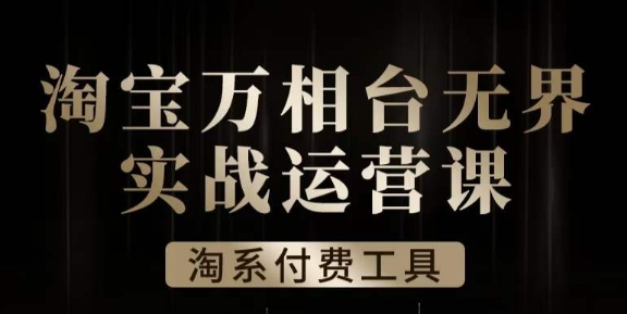 沧海·淘系万相台无界实战运营课，万相台无界实操全案例解析-大齐资源站