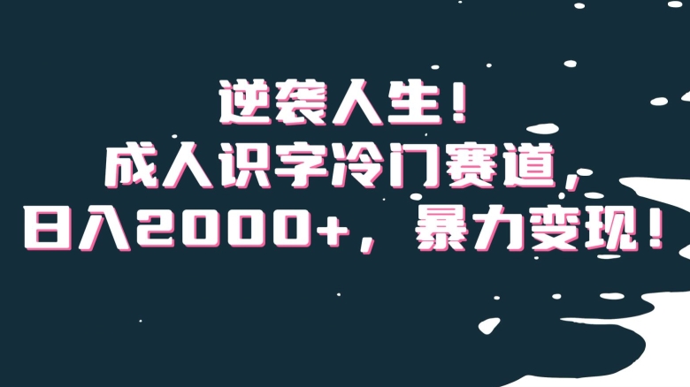 逆袭人生！成人识字冷门赛道，日入2000+，暴力变现！【揭秘】-大齐资源站