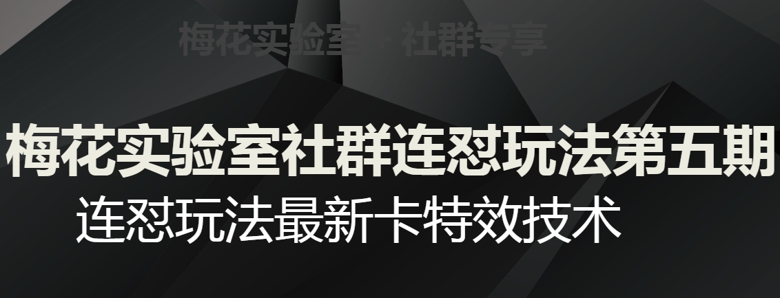 梅花实验室社群连怼玩法第五期，视频号连怼玩法最新卡特效技术-大齐资源站