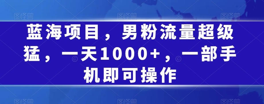 蓝海项目，男粉流量超级猛，一天1000+，一部手机即可操作【揭秘】-大齐资源站