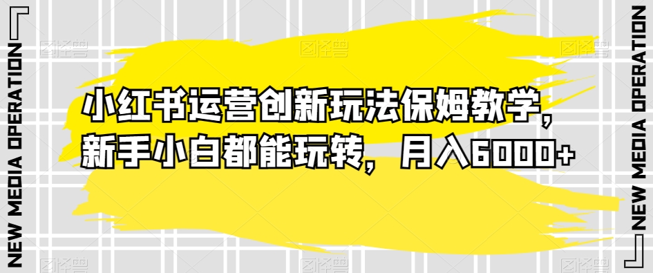 小红书运营创新玩法保姆教学，新手小白都能玩转，月入6000+【揭秘】-大齐资源站