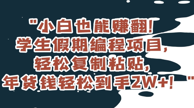 小白也能赚翻！学生假期编程项目，轻松复制粘贴，年货钱轻松到手2W+【揭秘】-大齐资源站