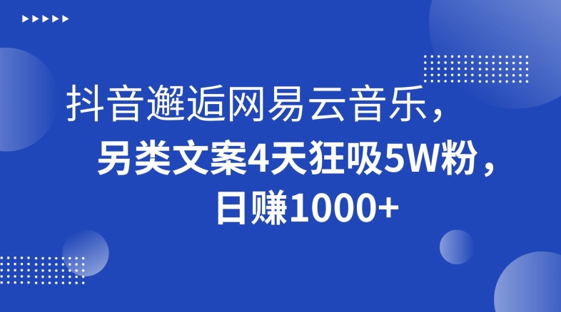 抖音邂逅网易云音乐，另类文案4天狂吸5W粉，日赚1000+【揭秘】-大齐资源站