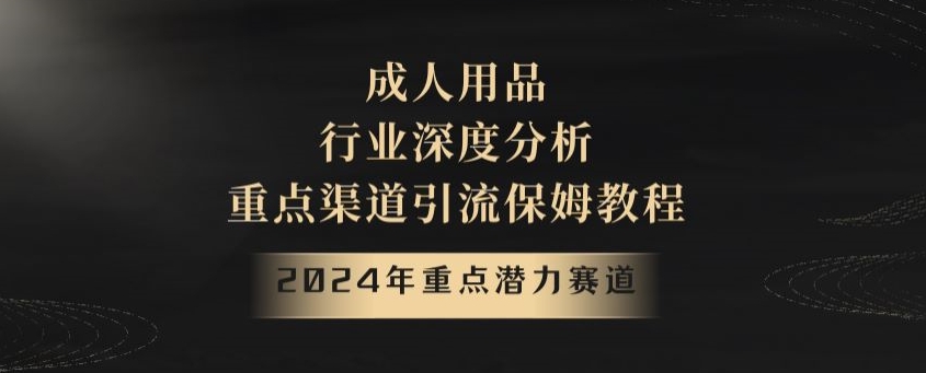 2024年重点潜力赛道，成人用品行业深度分析，重点渠道引流保姆教程【揭秘】-大齐资源站