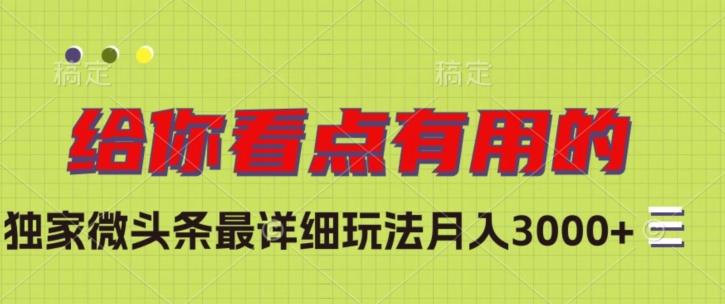 独家微头条最详细玩法，月入3000+【揭秘】-大齐资源站