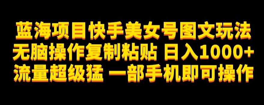 蓝海项目快手美女号图文玩法，无脑操作复制粘贴，日入1000+流量超级猛一部手机即可操作【揭秘】-大齐资源站