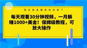 每天观看30分钟视频，一月躺赚1000+美金！保姆级教程，可放大操作【揭秘】-大齐资源站