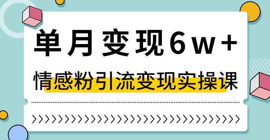 单月变现6W+，抖音情感粉引流变现实操课，小白可做，轻松上手，独家赛道【揭秘】-大齐资源站