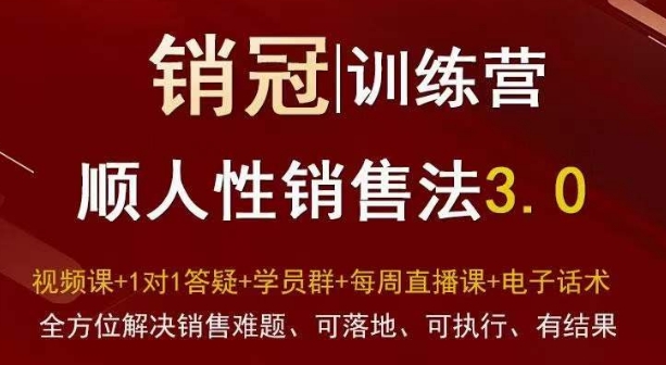 爆款！销冠训练营3.0之顺人性销售法，全方位解决销售难题、可落地、可执行、有结果-大齐资源站