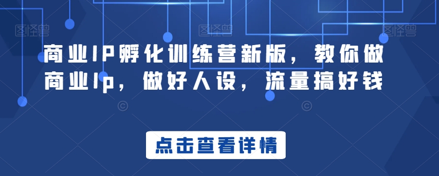 商业IP孵化训练营新版，教你做商业Ip，做好人设，流量搞好钱-大齐资源站