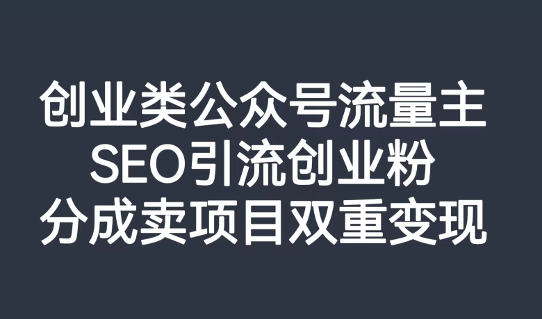 创业类公众号流量主，SEO引流创业粉，分成卖项目双重变现【揭秘】-大齐资源站