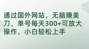 通过国外网站，无脑赚美刀，单号每天300+可放大操作，小白轻松上手【揭秘】-大齐资源站