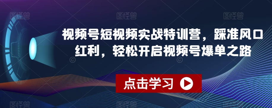 视频号短视频实战特训营，踩准风口红利，轻松开启视频号爆单之路-大齐资源站