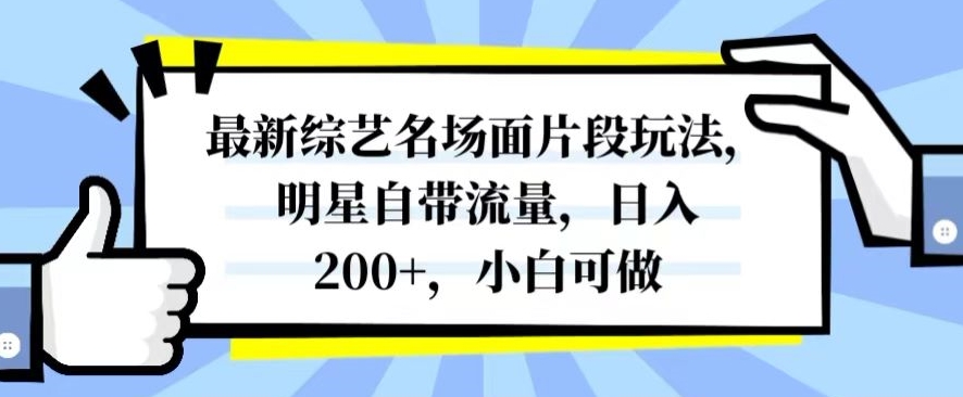 最新综艺名场面片段玩法，明星自带流量，日入200+，小白可做【揭秘】-大齐资源站