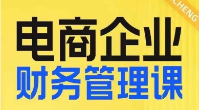 电商企业财务管理线上课，为电商企业规划财税-大齐资源站