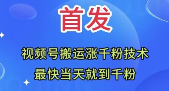 全网首发：视频号无脑搬运涨千粉技术，最快当天到千粉【揭秘】-大齐资源站