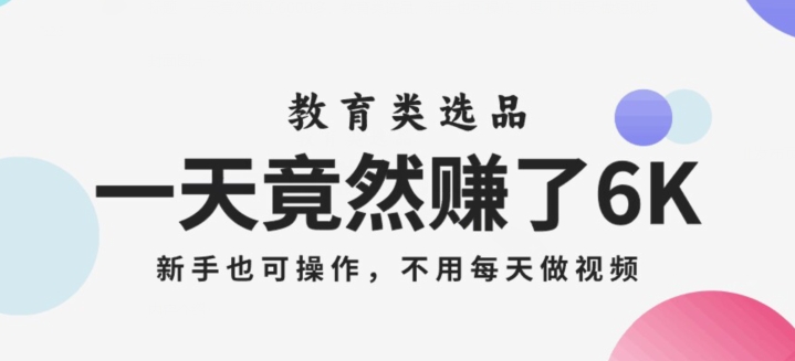 一天竟然赚了6000多，教育类选品，新手也可操作，更不用每天做短视频【揭秘】-大齐资源站