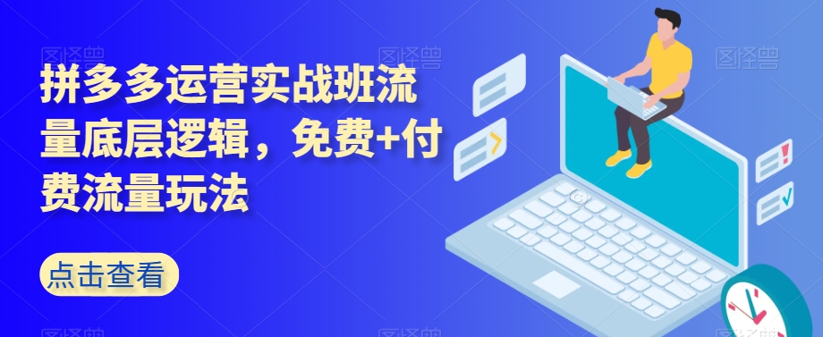 拼多多运营实战班流量底层逻辑，免费+付费流量玩法-大齐资源站