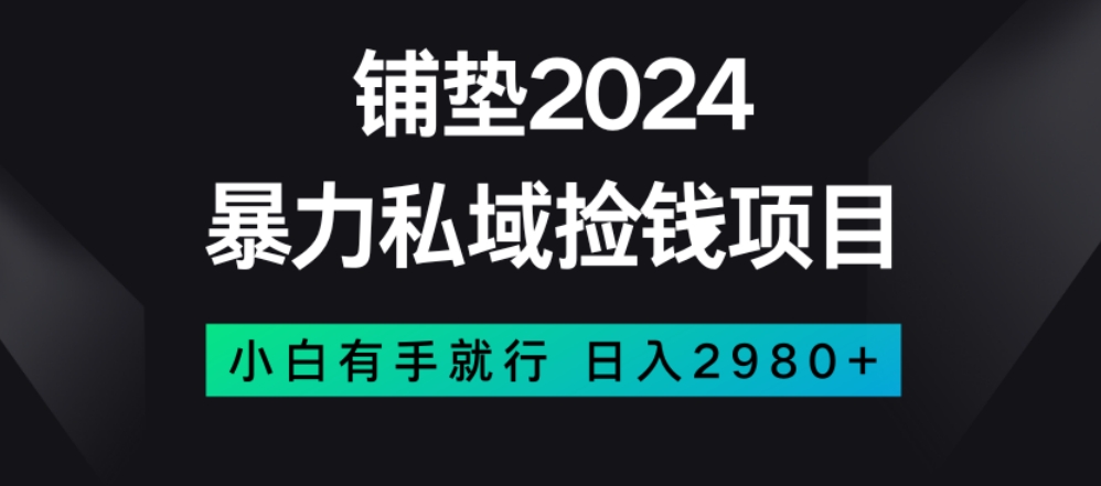 暴力私域捡钱项目，小白无脑操作，日入2980【揭秘】-大齐资源站