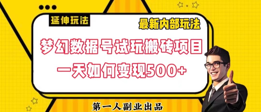 数据号回归玩法游戏试玩搬砖项目再创日入500+【揭秘】-大齐资源站