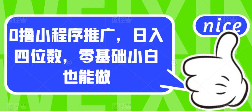 0撸小程序推广，日入四位数，零基础小白也能做【揭秘】-大齐资源站