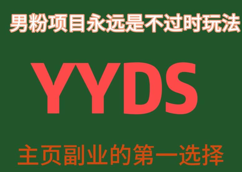 YYDS男粉项目永远是不过时玩法，主业副业的第一选择【揭秘】-大齐资源站
