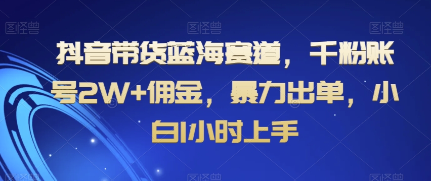 抖音带货蓝海赛道，千粉账号2W+佣金，暴力出单，小白1小时上手【揭秘】-大齐资源站