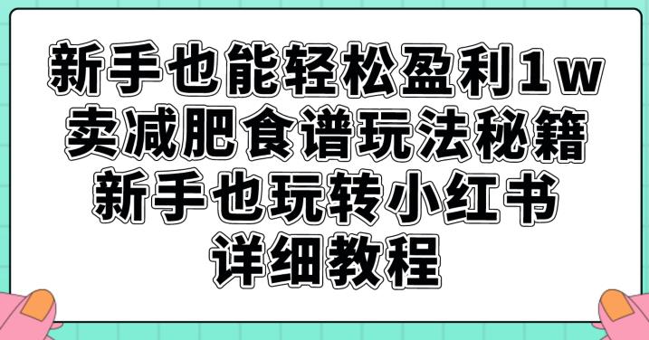 新手也能轻松盈利1w，卖减肥食谱玩法秘籍，新手也玩转小红书详细教程【揭秘】-大齐资源站