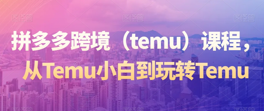 拼多多跨境（temu）课程，从Temu小白到玩转Temu-大齐资源站