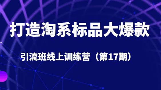 打造淘系标品大爆款引流班线上训练营（第17期）5天直播授课-大齐资源站