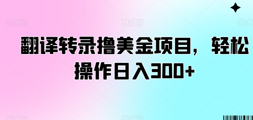 翻译转录撸美金项目，轻松操作日入300+【揭秘】-大齐资源站