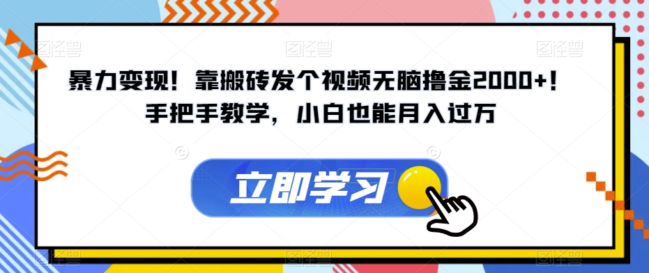 暴力变现！靠搬砖发个视频无脑撸金2000+！手把手教学，小白也能月入过万【揭秘】-大齐资源站