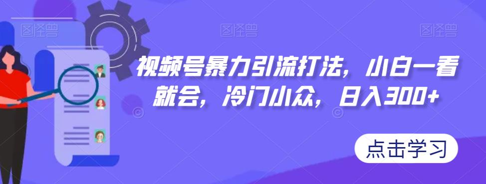 视频号暴力引流打法，小白一看就会，冷门小众，日入300+【揭秘】-大齐资源站