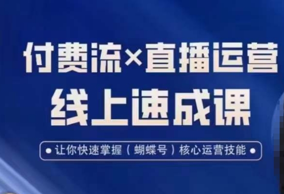 视频号付费流实操课程，付费流✖️直播运营速成课，让你快速掌握视频号核心运营技能-大齐资源站