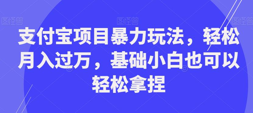 支付宝项目暴力玩法，轻松月入过万，基础小白也可以轻松拿捏【揭秘】-大齐资源站