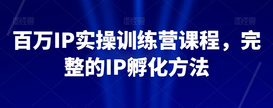 百万IP实操训练营课程，完整的IP孵化方法-大齐资源站