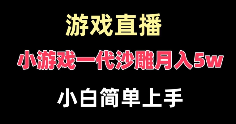 玩小游戏一代沙雕月入5w，爆裂变现，快速拿结果，高级保姆式教学【揭秘】-大齐资源站