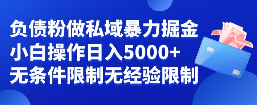 负债粉私域暴力掘金，小白操作入5000，无经验限制，无条件限制【揭秘】-大齐资源站