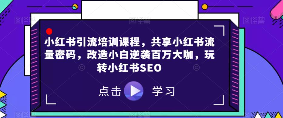 小红书引流培训课程，共享小红书流量密码，改造小白逆袭百万大咖，玩转小红书SEO-大齐资源站