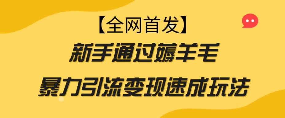 【全网首发】新手通过薅羊毛暴力引流变现速成玩法-大齐资源站