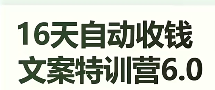 16天自动收钱文案特训营6.0，学会儿每天自动咔咔收钱-大齐资源站