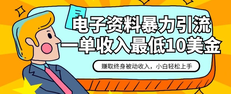 电子资料暴力引流，一单最低10美金，赚取终身被动收入，保姆级教程【揭秘】-大齐资源站